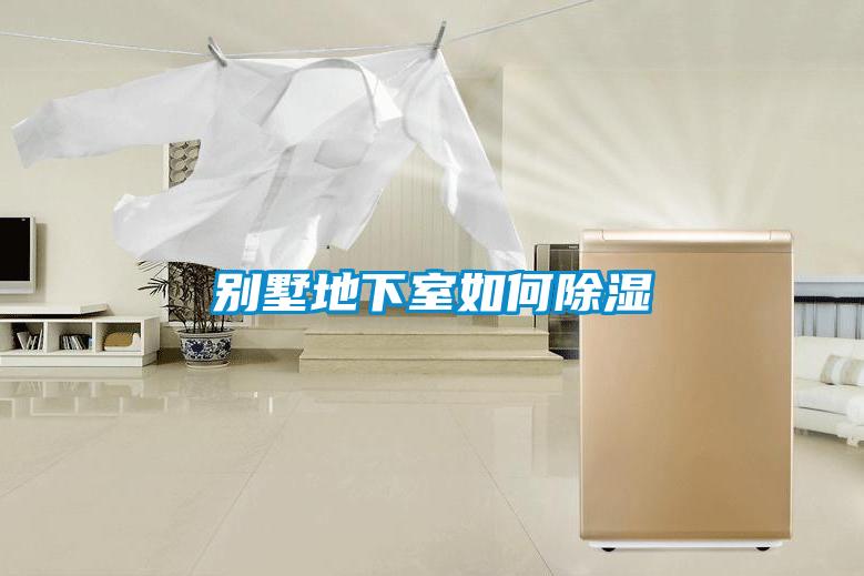 别墅地下室如何香蕉福利视频