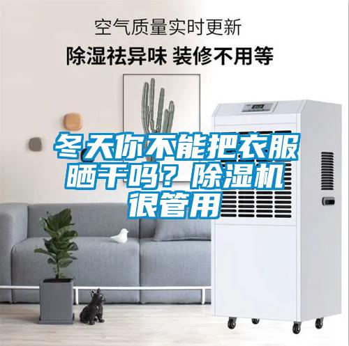 冬天你不能把衣服晒干吗？香蕉福利视频机很管用