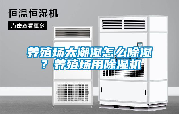 养殖场太潮湿怎么香蕉福利视频？养殖场用香蕉福利视频机