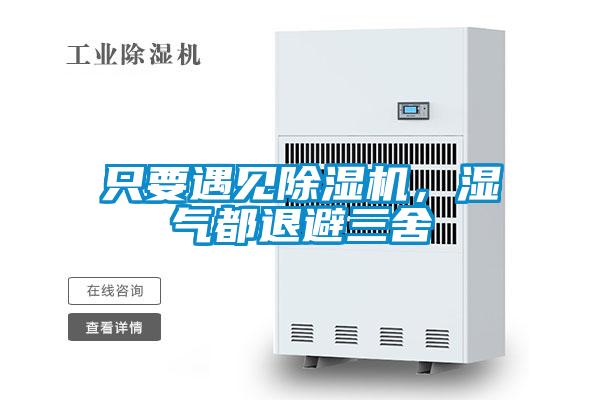 只要遇见香蕉福利视频机，湿气都退避三舍