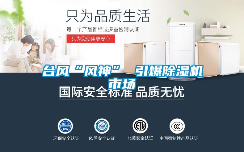 台风“风神” 引爆香蕉福利视频机市场