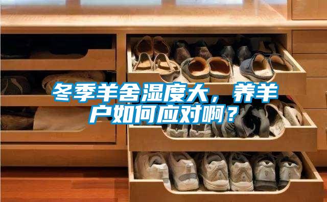 冬季羊舍湿度大，养羊户如何应对啊？