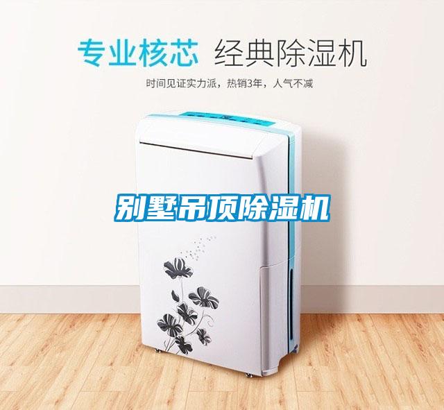 别墅吊顶香蕉福利视频机