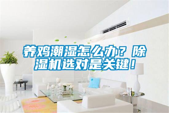 养鸡潮湿怎么办？香蕉福利视频机选对是关键！