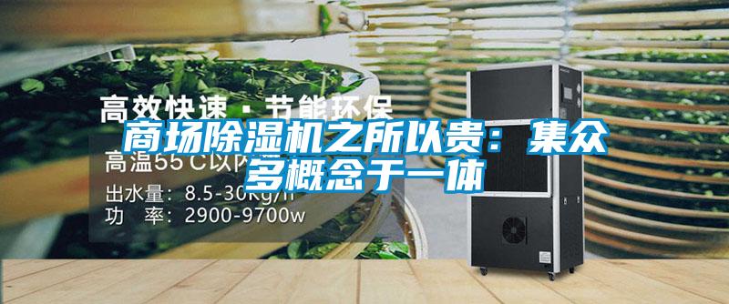 商场香蕉福利视频机之所以贵：集众多概念于一体