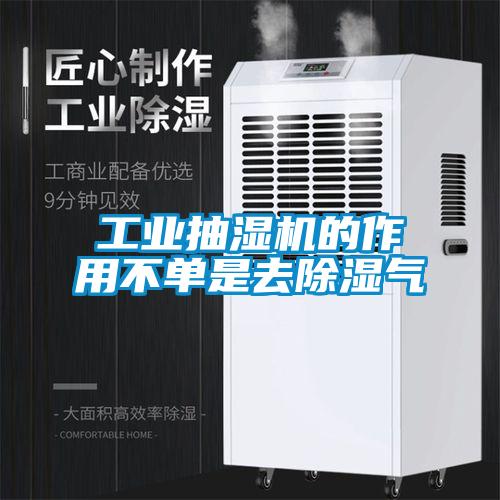 工业抽湿机的作用不单是去香蕉福利视频气