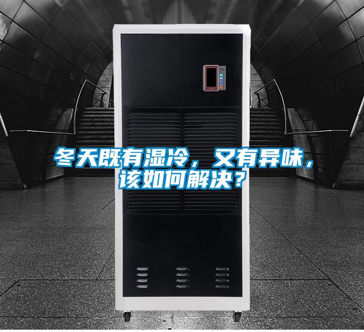 冬天既有湿冷，又有异味，该如何解决？