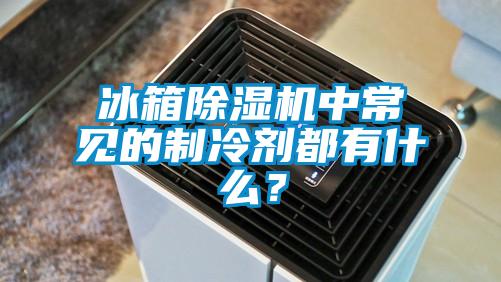 冰箱香蕉福利视频机中常见的制冷剂都有什么？