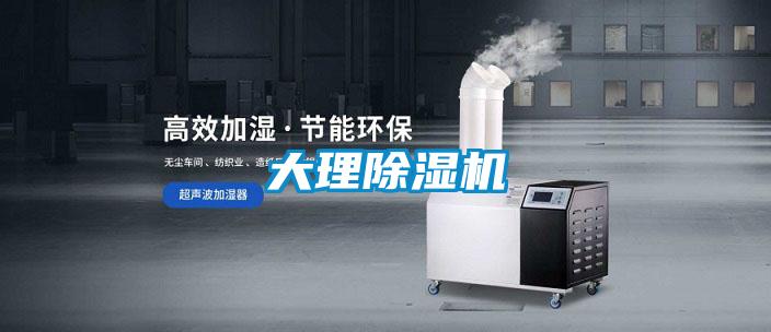 大理香蕉福利视频机