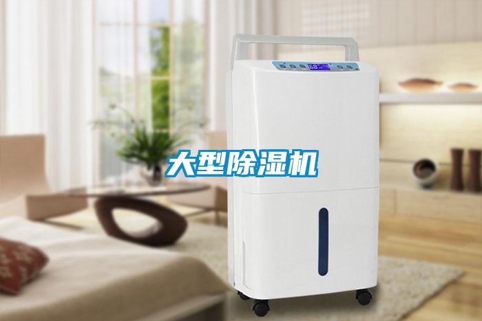 大型香蕉福利视频机
