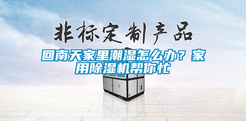 回南天家里潮湿怎么办？家用香蕉福利视频机帮你忙