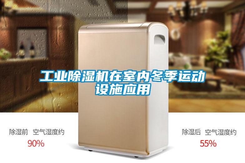 工业香蕉福利视频机在室内冬季运动设施应用