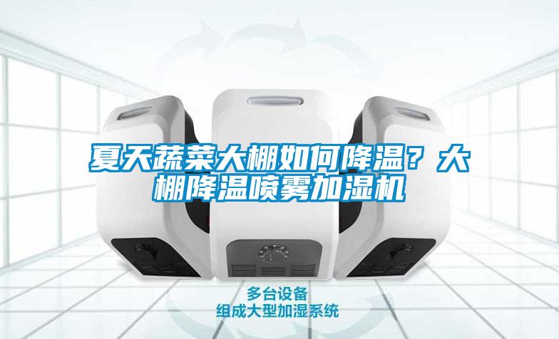 夏天蔬菜大棚如何降温？大棚降温喷雾加湿机