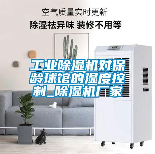 工业香蕉福利视频机对保龄球馆的湿度控制_香蕉福利视频机厂家