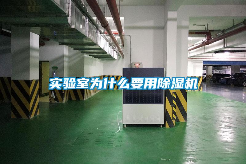 实验室为什么要用香蕉福利视频机