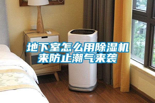 地下室怎么用香蕉福利视频机来防止潮气来袭