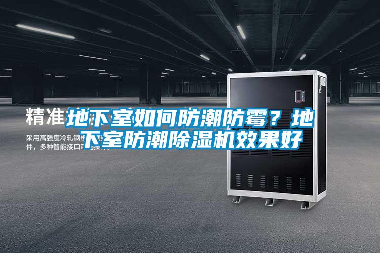 地下室如何防潮防霉？地下室防潮香蕉福利视频机效果好