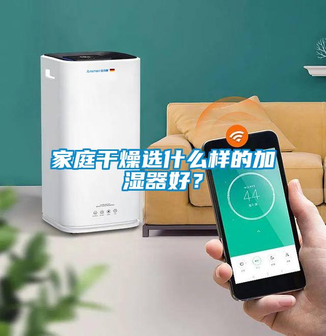 家庭干燥选什么样的加湿器好？