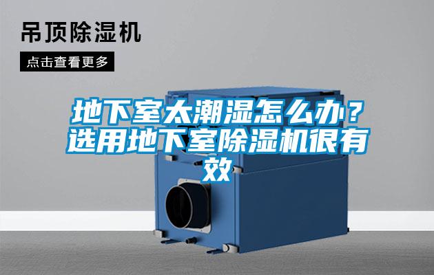 地下室太潮湿怎么办？选用地下室香蕉福利视频机很有效