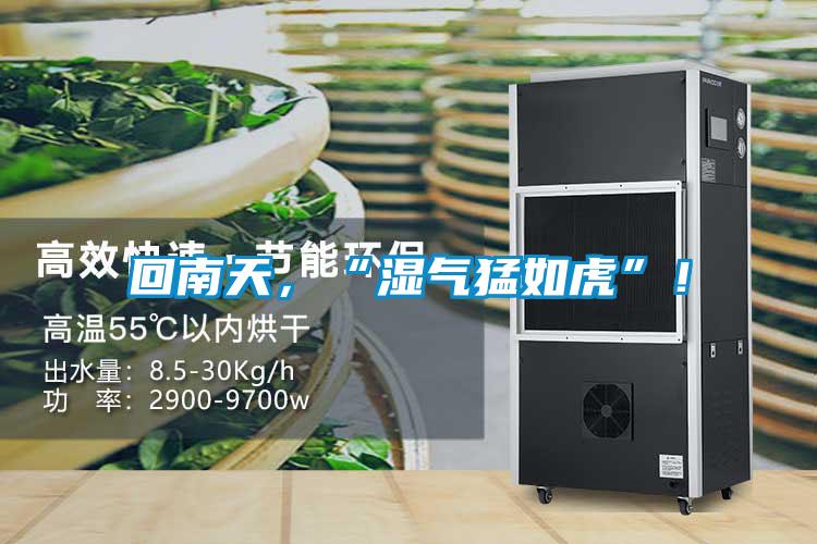 回南天，“湿气猛如虎”！