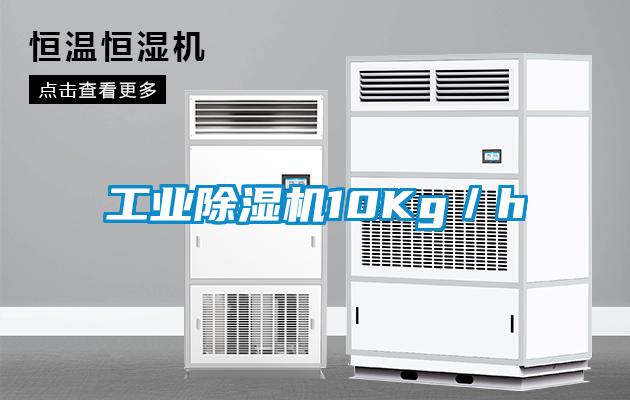 工业香蕉福利视频机10Kg／h
