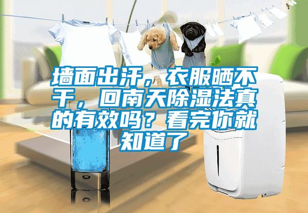 墙面出汗，衣服晒不干，回南天香蕉福利视频法真的有效吗？看完你就知道了