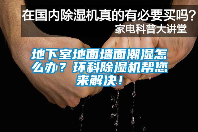 地下室地面墙面潮湿怎么办？环科香蕉福利视频机帮您来解决！