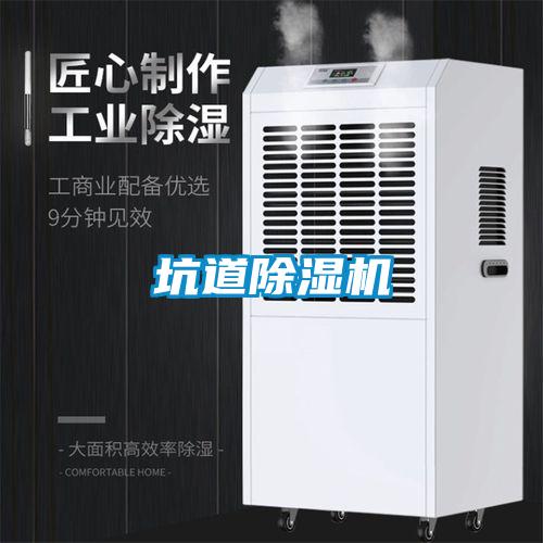 坑道香蕉福利视频机