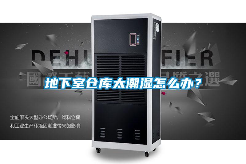 地下室仓库太潮湿怎么办？