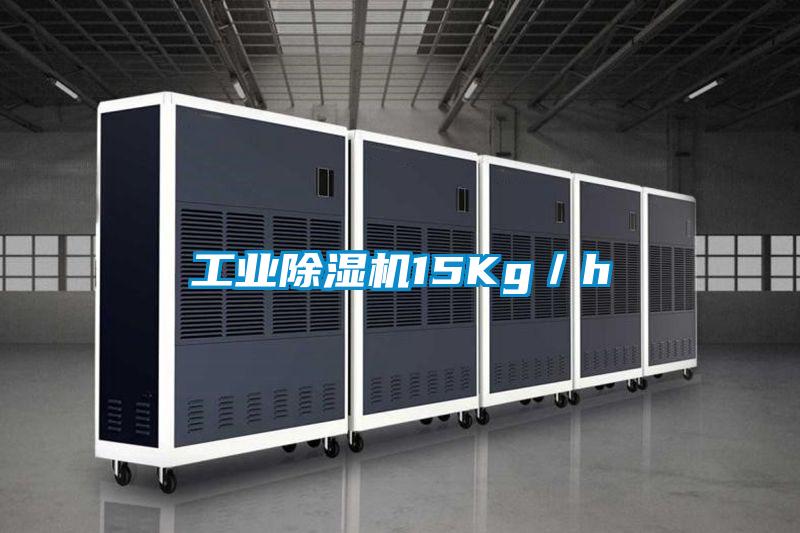 工业香蕉福利视频机15Kg／h