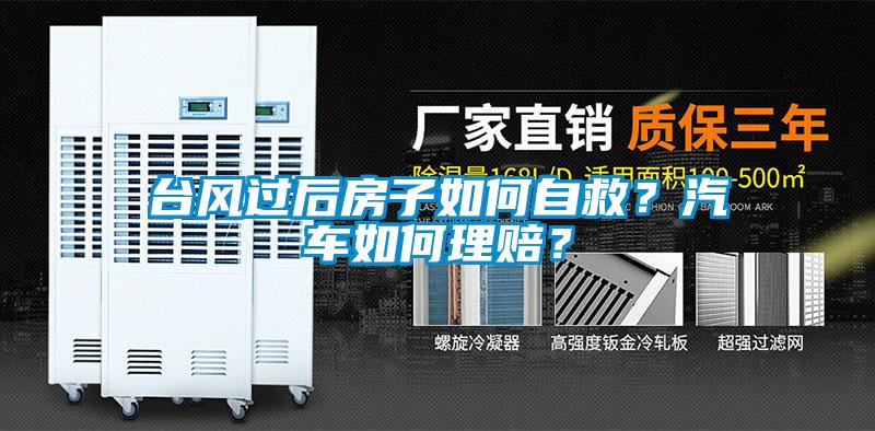 台风过后房子如何自救？汽车如何理赔？