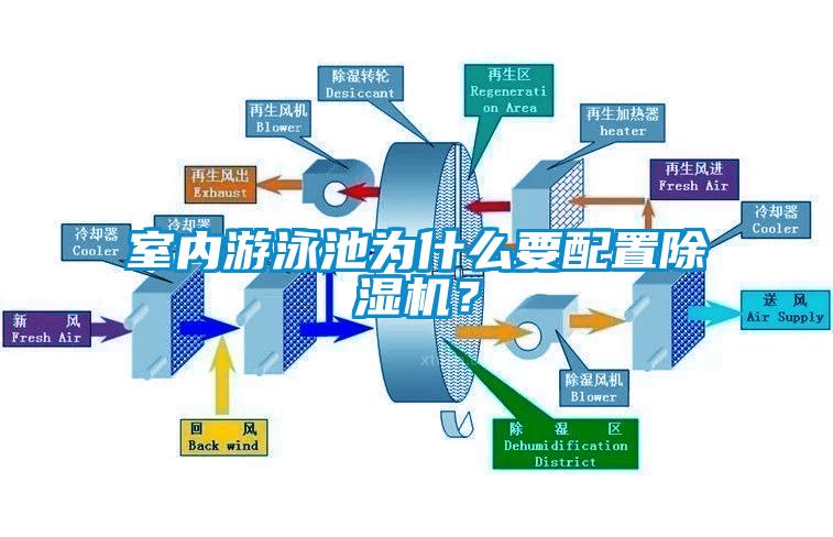 室内游泳池为什么要配置香蕉福利视频机？