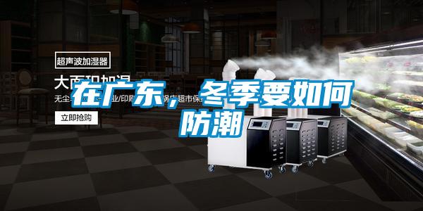 在广东，冬季要如何防潮