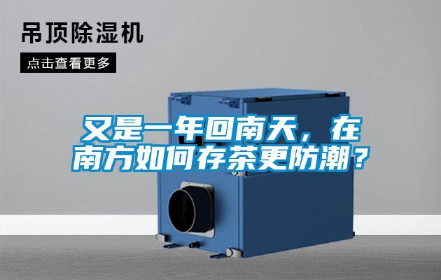 又是一年回南天，在南方如何存茶更防潮？