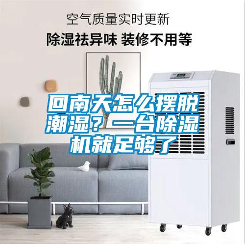 回南天怎么摆脱潮湿？一台香蕉福利视频机就足够了