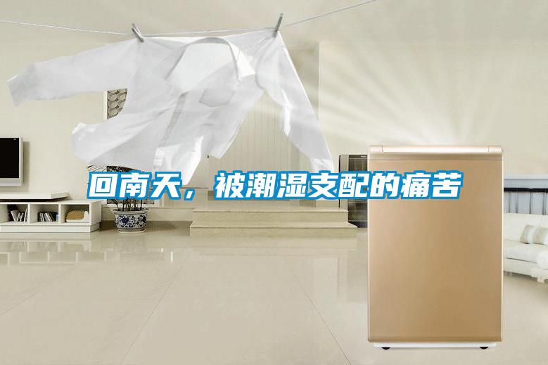 回南天，被潮湿支配的痛苦