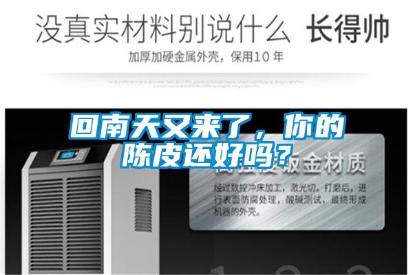 回南天又来了，你的陈皮还好吗？