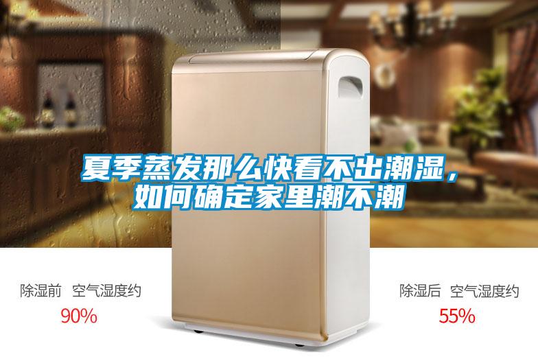 夏季蒸发那么快看不出潮湿，如何确定家里潮不潮