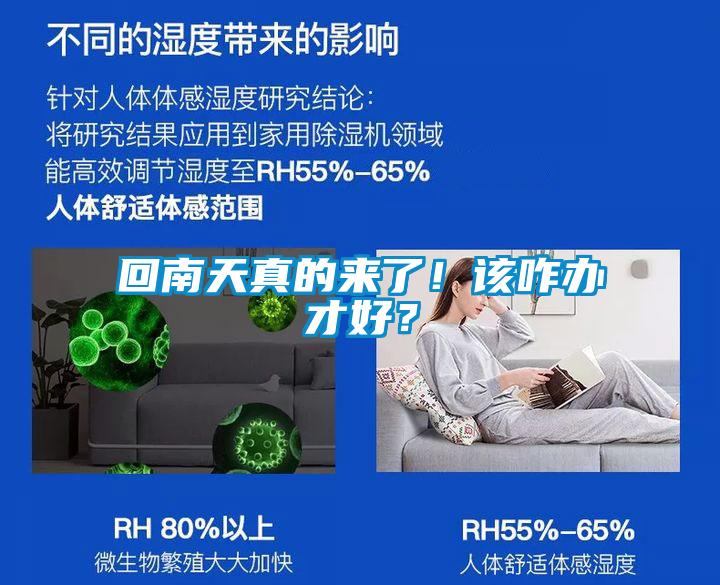 回南天真的来了！该咋办才好？