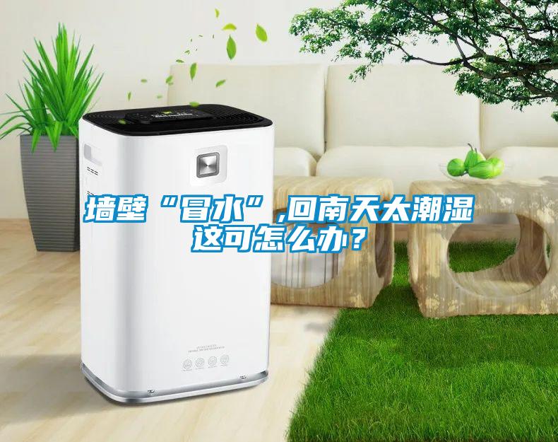 墙壁“冒水”,回南天太潮湿这可怎么办？