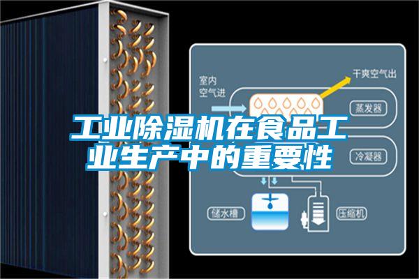 工业香蕉福利视频机在食品工业生产中的重要性