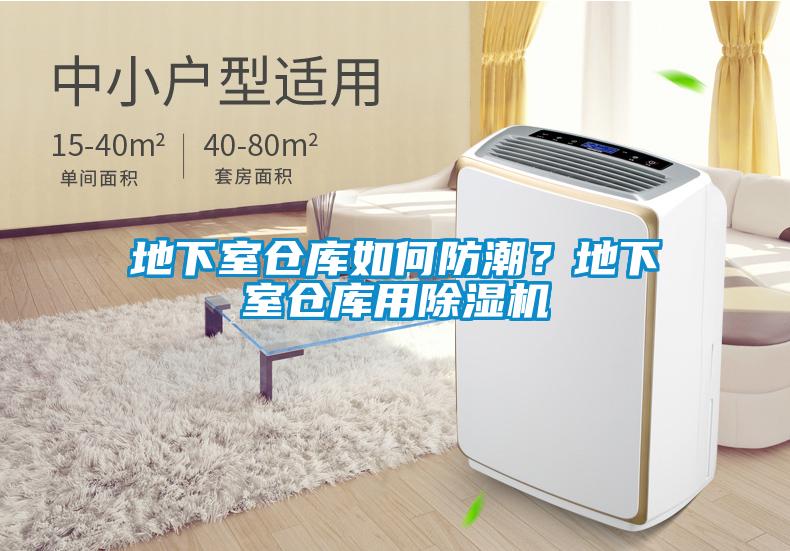 地下室仓库如何防潮？地下室仓库用香蕉福利视频机