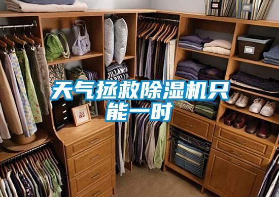 天气拯救香蕉福利视频机只能一时