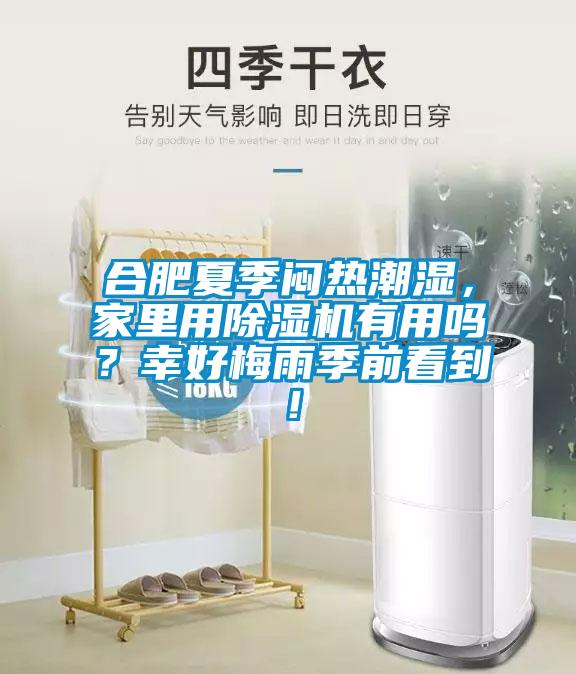 合肥夏季闷热潮湿，家里用香蕉福利视频机有用吗？幸好梅雨季前看到！