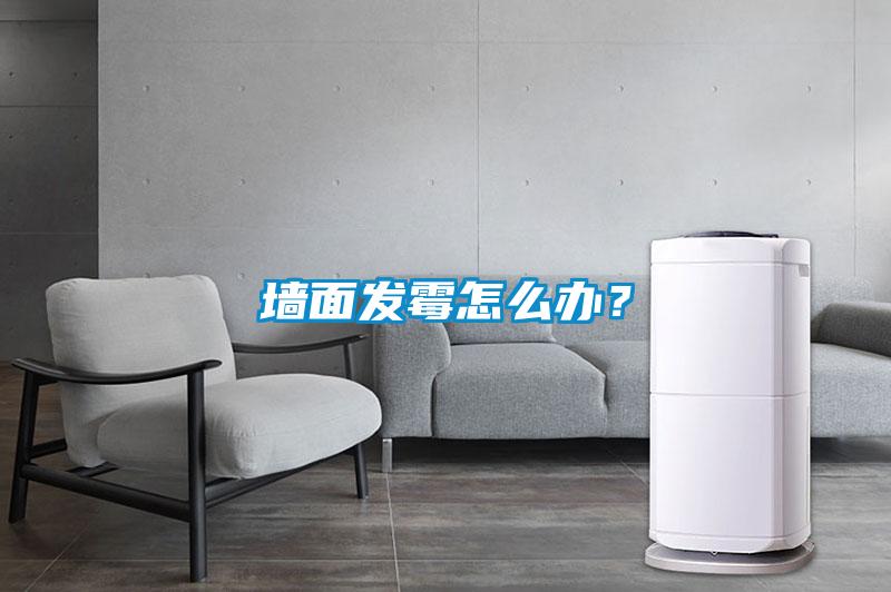 墙面发霉怎么办？