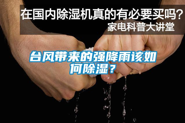 台风带来的强降雨该如何香蕉福利视频？