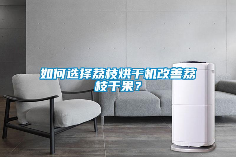 如何选择荔枝烘干机改善荔枝干果？