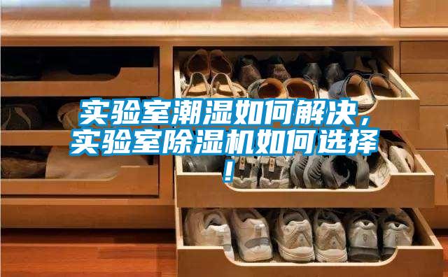 实验室潮湿如何解决，实验室香蕉福利视频机如何选择！