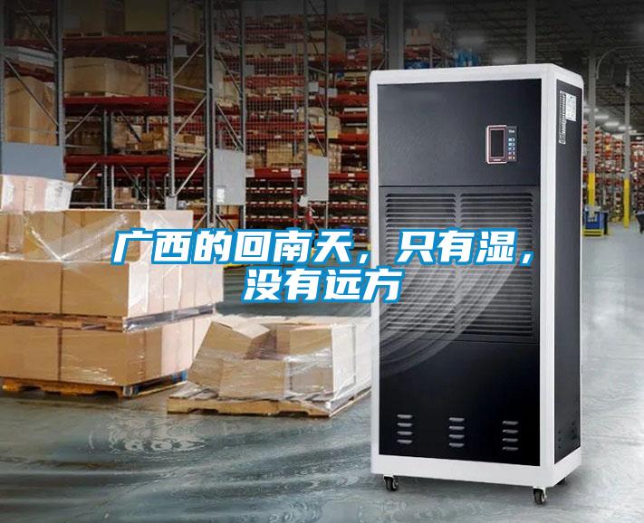 广西的回南天，只有湿，没有远方
