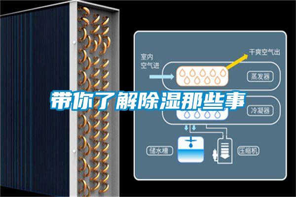 带你了解香蕉福利视频那些事